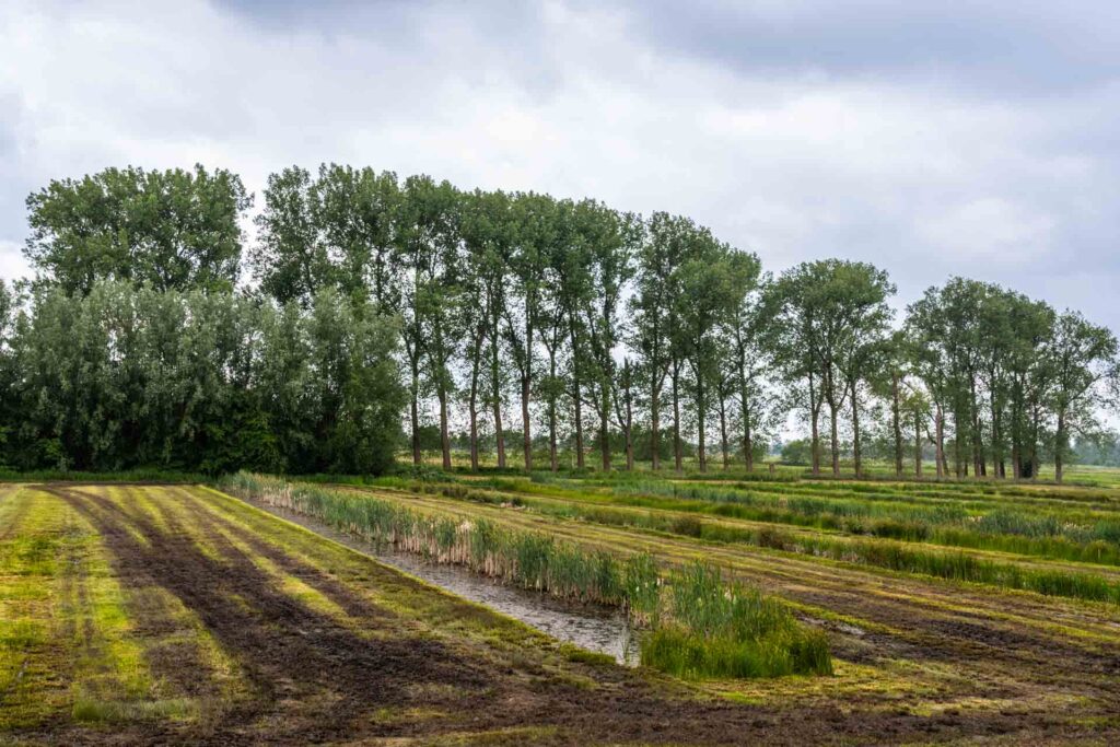 Het Slagenlandschap ligt op de overgang van zand naar klei, en zit vol kwelwater.