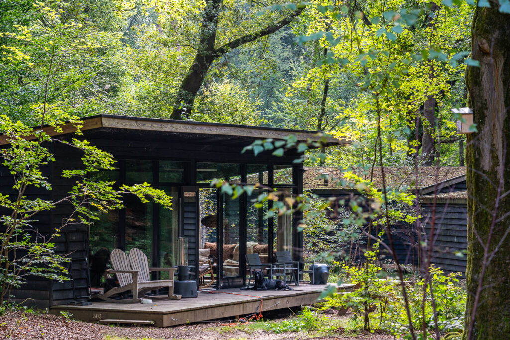 Forest Cabin Buitenplaats Beekhuizen