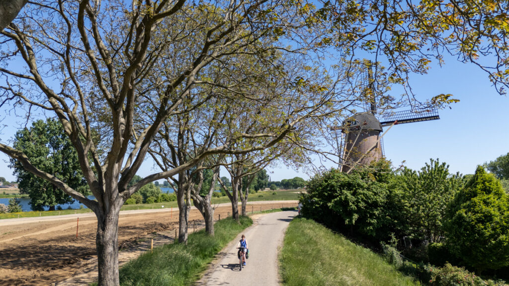 Fietser (Jessica) bij stellingmolen Stella Polaris in Dieden, met de Maas op de achtergrond.