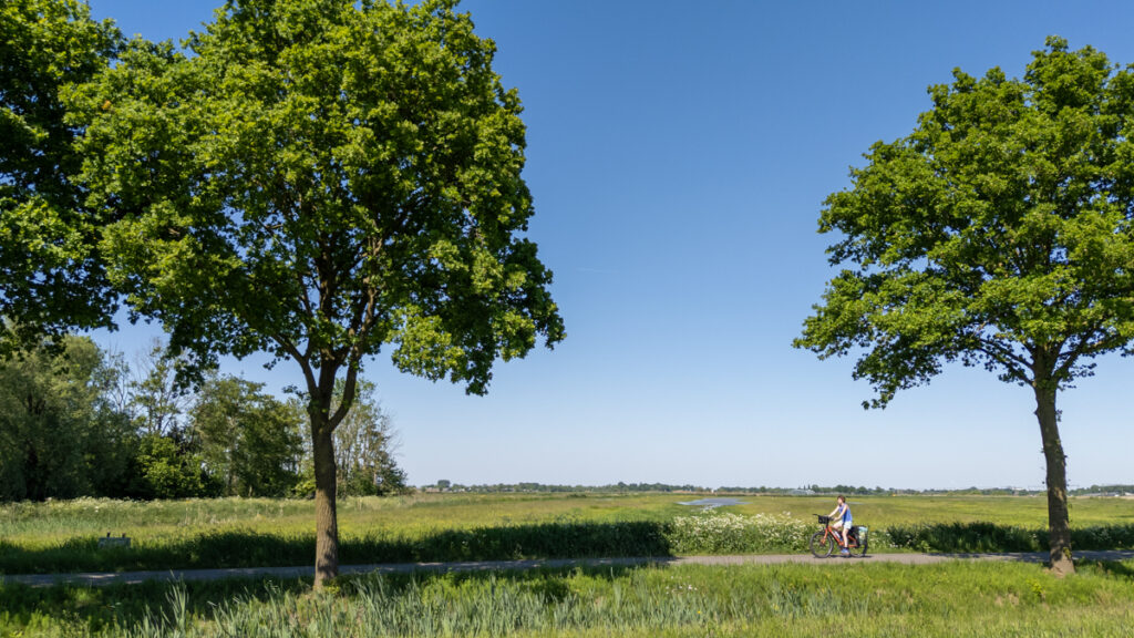 Fietsen door de weilanden
